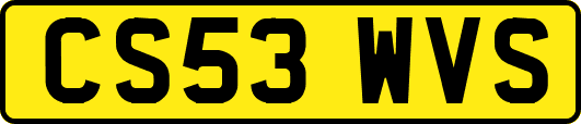 CS53WVS