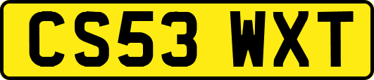 CS53WXT