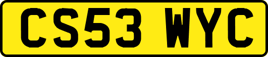 CS53WYC