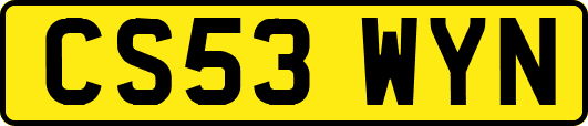 CS53WYN