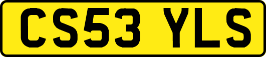 CS53YLS