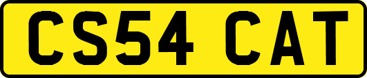 CS54CAT