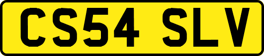 CS54SLV