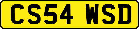 CS54WSD