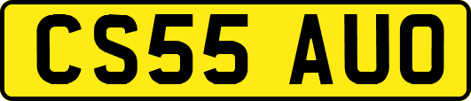 CS55AUO