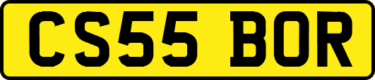 CS55BOR