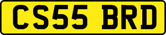 CS55BRD