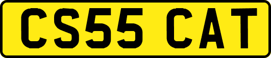 CS55CAT