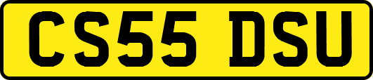 CS55DSU