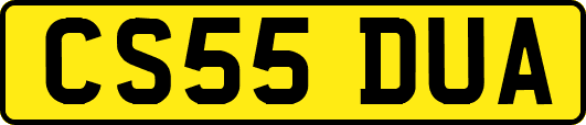 CS55DUA
