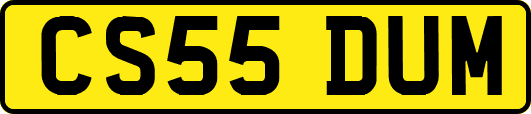 CS55DUM