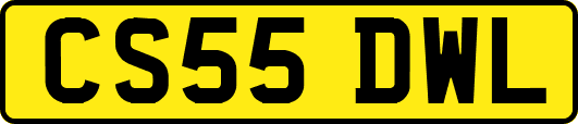CS55DWL