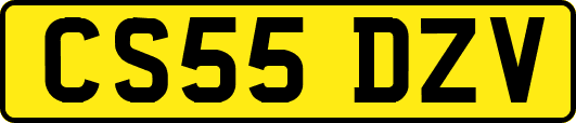 CS55DZV