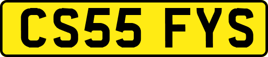 CS55FYS