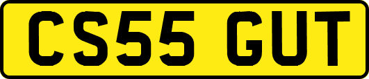 CS55GUT