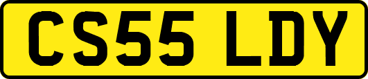 CS55LDY