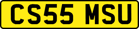 CS55MSU