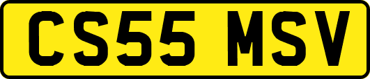 CS55MSV