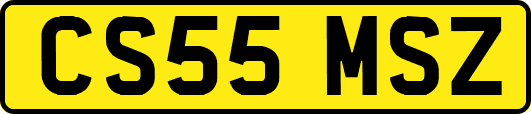 CS55MSZ