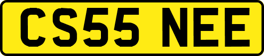 CS55NEE