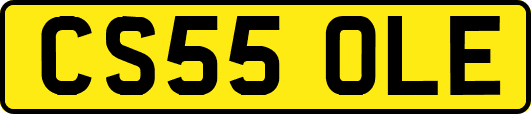 CS55OLE