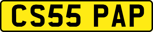 CS55PAP