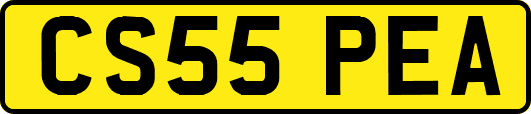 CS55PEA