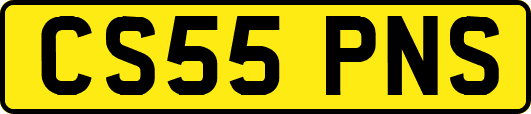CS55PNS