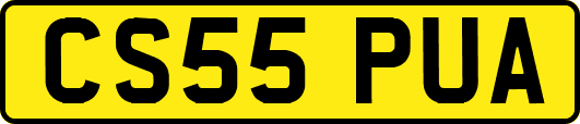 CS55PUA