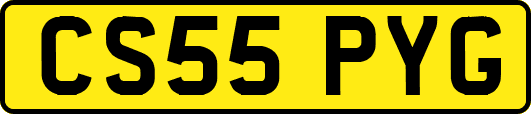 CS55PYG