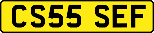 CS55SEF