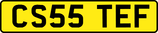 CS55TEF