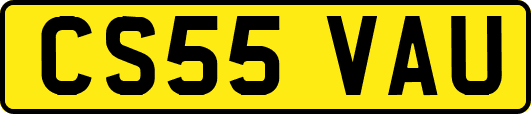 CS55VAU