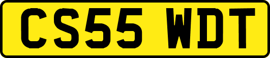 CS55WDT