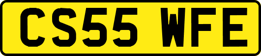CS55WFE