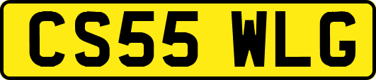 CS55WLG