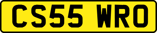 CS55WRO