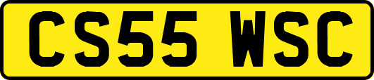 CS55WSC