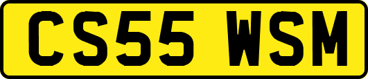 CS55WSM