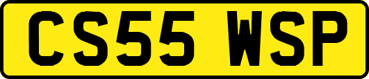 CS55WSP