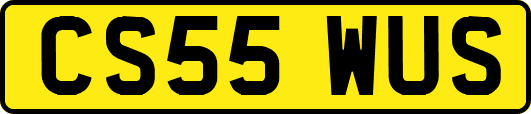 CS55WUS