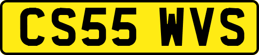 CS55WVS