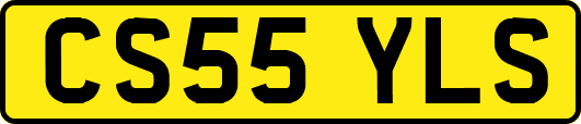 CS55YLS