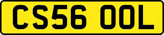 CS56OOL