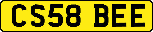 CS58BEE