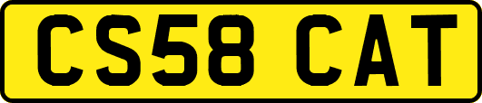 CS58CAT