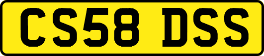 CS58DSS