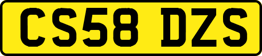 CS58DZS