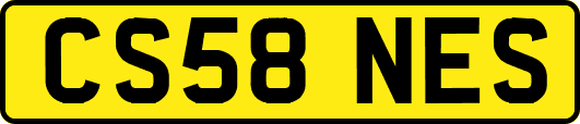 CS58NES