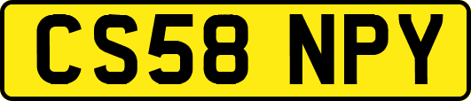 CS58NPY